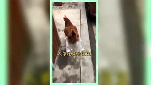吃瓜群众的娱乐网名大全,吃瓜群众娱乐网名大全,笑料百出!
